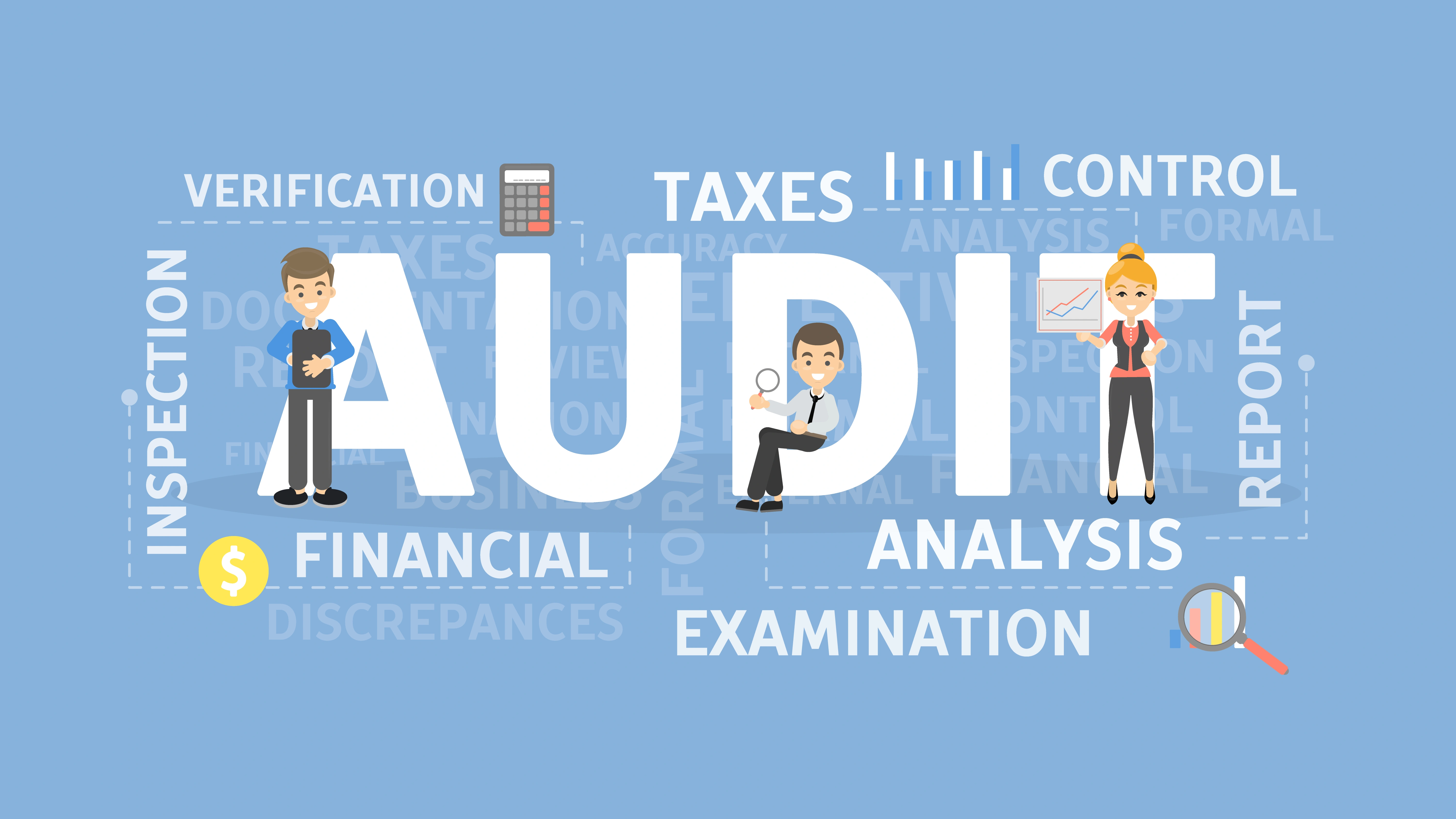 statutory audit